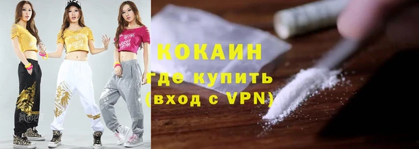 соль ск Алексин