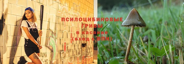 ГАЛЛЮЦИНОГЕННЫЕ ГРИБЫ Абинск