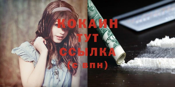 соль ск Алексин