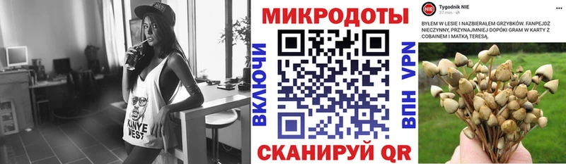 Псилоцибиновые грибы Magic Shrooms  цены   Донской 